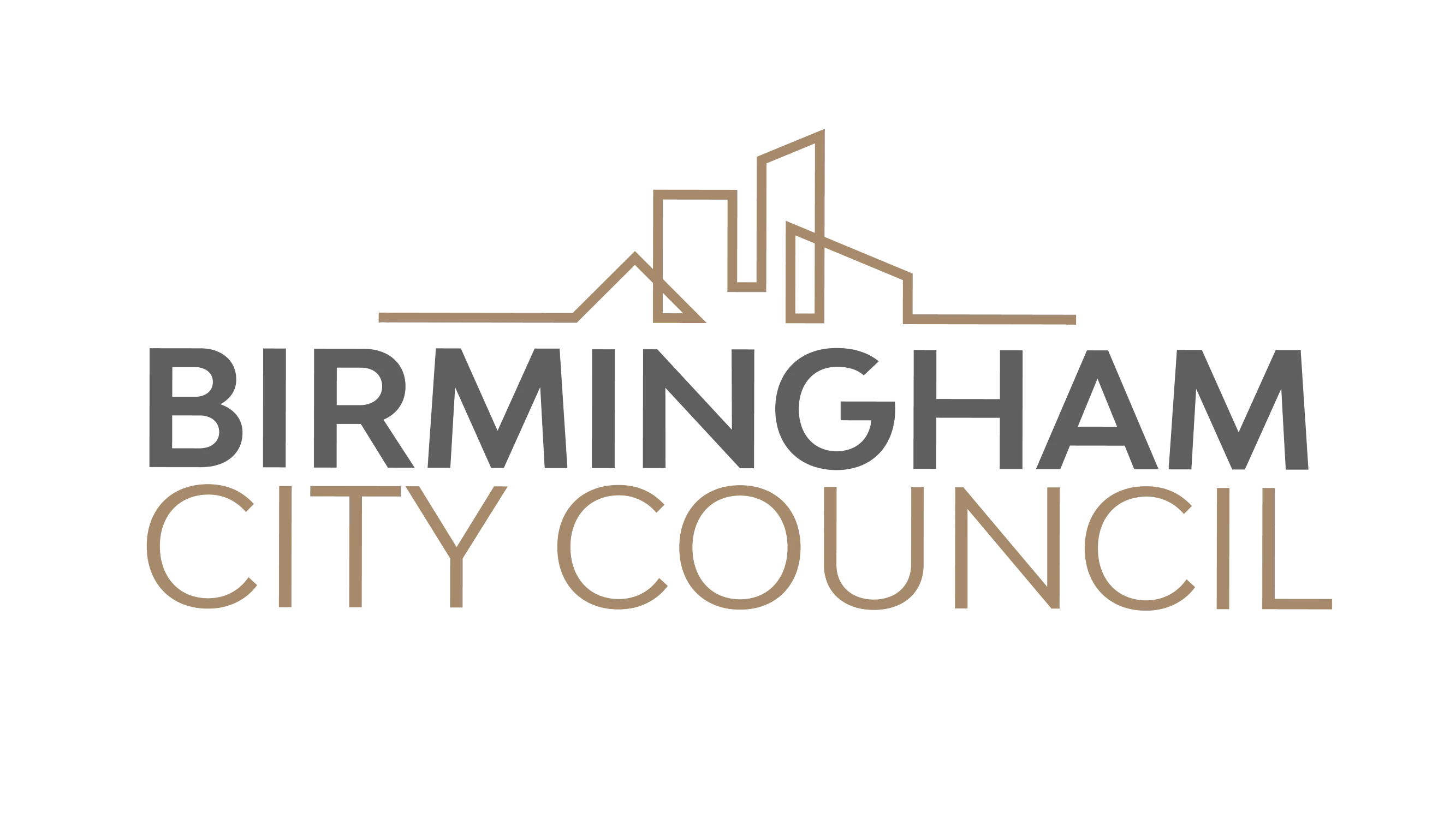 Birmingham City Council partner logo