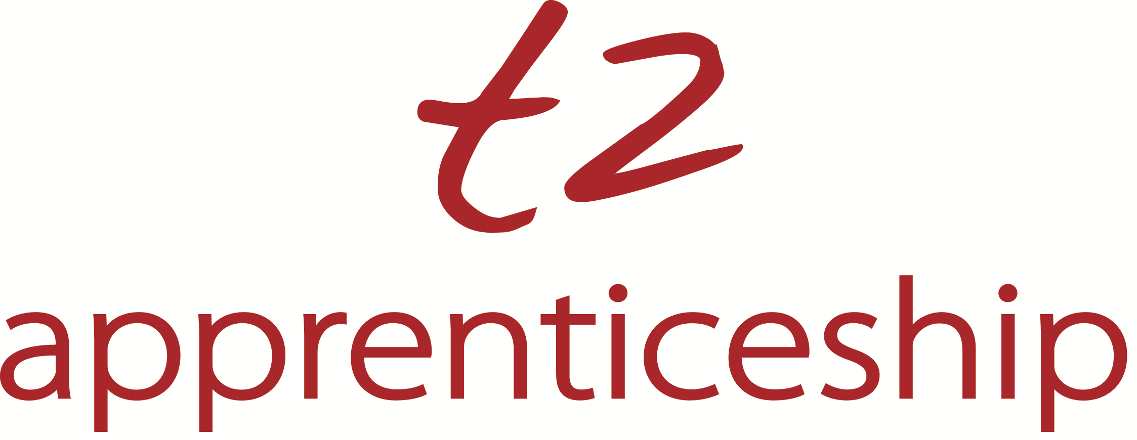 T2 Group logo